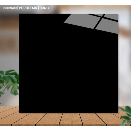 Gạch lát nền 60X60 Catalan 66007 đá bóng đen trơn