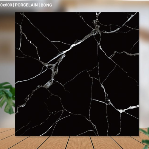 Gạch lát nền 60X60 Catalan 66020 đá bóng đen vân trắng