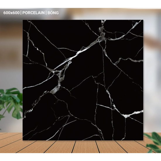 Gạch lát nền 60X60 Catalan 66020 đá bóng đen vân trắng