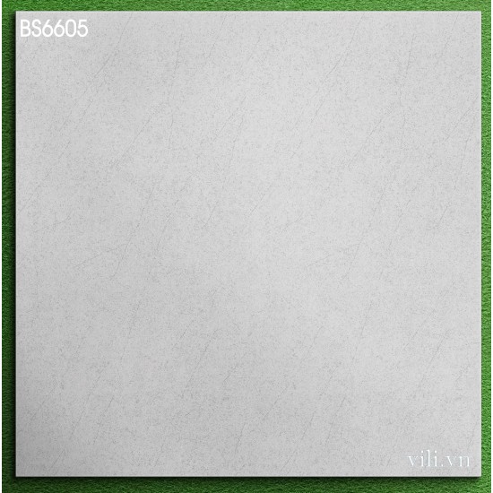 Gạch lát nền 60X60 Viglacera BS6605 đá mờ