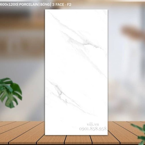 Gạch lát nền 60X120 Catalan 12026 đá bóng trắng vân mây