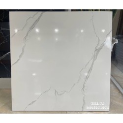 Gạch lát nền 60X60 TTC CB66024 men bóng trắng vân mây