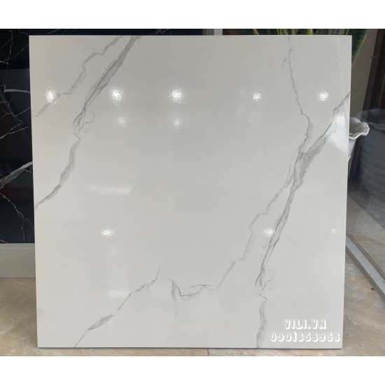 Gạch lát nền 60X60 TTC CB66024 men bóng trắng vân mây