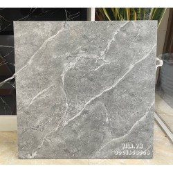 Gạch lát nền 60X60 TTC CM66007 men mờ