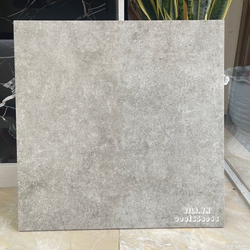 Gạch lát nền 60X60 TTC FM66011 xám xi măng men mờ