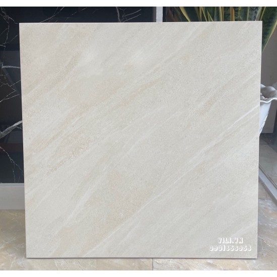 Gạch lát nền 60X60 TTC FM66012 xám xi măng men mờ