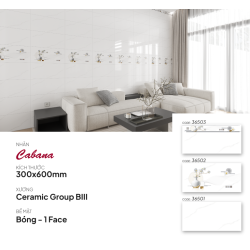 Gạch ốp tường 30X60 Catalan 36503 - 36502 - 36501 men bóng