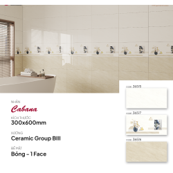 Gạch ốp tường 30X60 Catalan 36515 - 36517 - 36516 men bóng