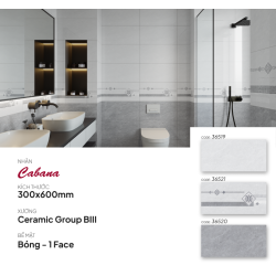 Gạch ốp tường 30X60 Catalan 36519 - 36521 - 36520 men bóng