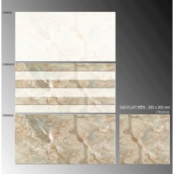 Gạch ốp tường 30x60 TTC CB36025 - CDB36025 - CB36026 men bóng