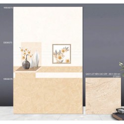 Gạch ốp tường 30x60 TTC WB36075 - DB36075 - WB36076 men bóng