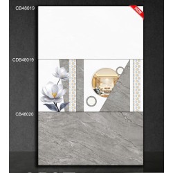 Gạch ốp tường 40x80 TTC CB48019 - CDB48019 - CB48020 men bóng