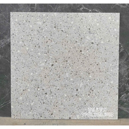 Gạch lát nền terrazzo 60X60 S6031 đá mờ nhám