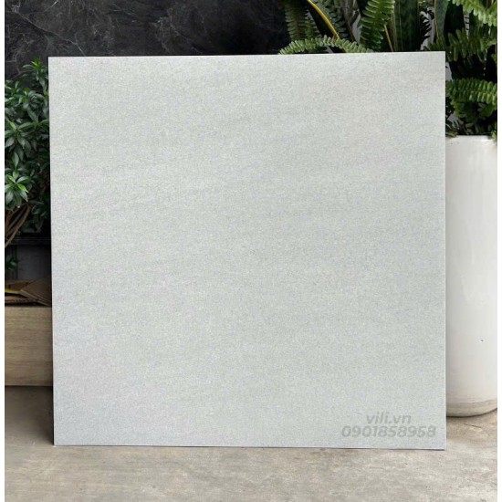 Gạch lát nền 60X60 đá mờ nhám SMM66001