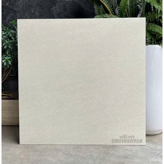Gạch lát nền 60X60 đá mờ nhám SMM66003