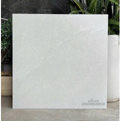 Gạch lát nền 60X60 đá mờ nhám SMM66005