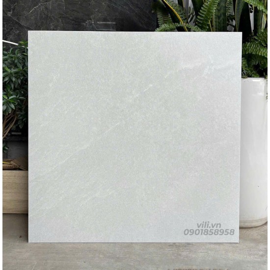Gạch lát nền 60X60 đá mờ nhám SMM66005