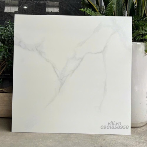 Gạch lát nền 60X60 đá mờ nhám SMM66010