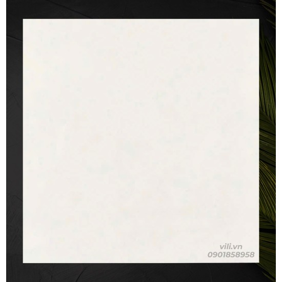 Gạch lát nền 60X60 TSA6848 màu kem