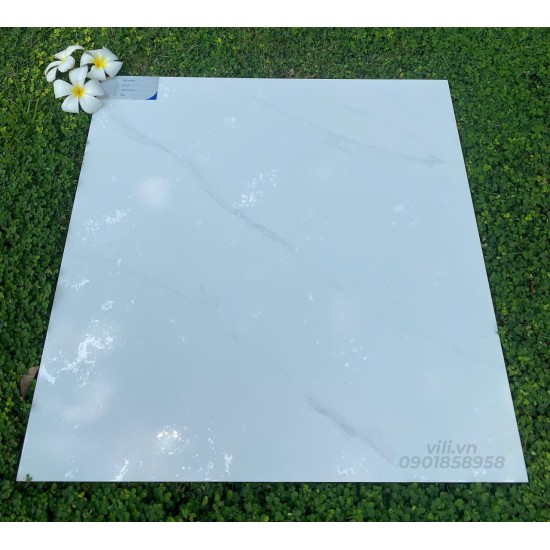 Gạch lát nền 60X60 đá bóng TTB601