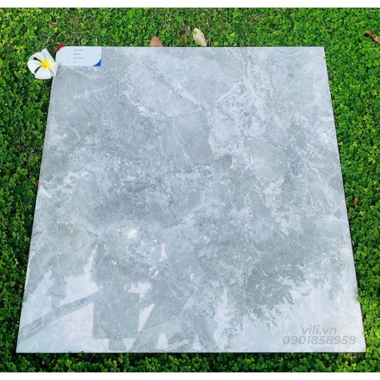 Gạch lát nền 60X60 đá bóng TTB602C