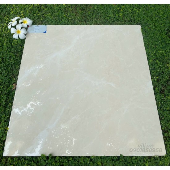 Gạch lát nền 60X60 đá bóng TTB606A