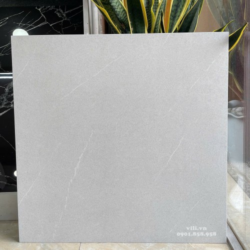 Gạch lát nền 60X60 Viglacera VHP6609 đá mờ