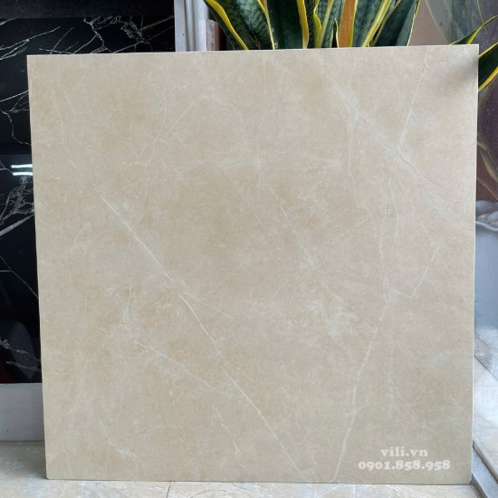 Gạch lát nền 60X60 Viglacera VHP6617 đá mờ