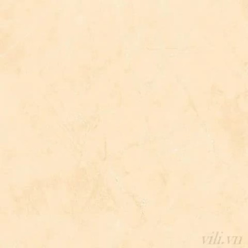 Gạch lát nền 100X100 cm BD 54006 đá Bóng