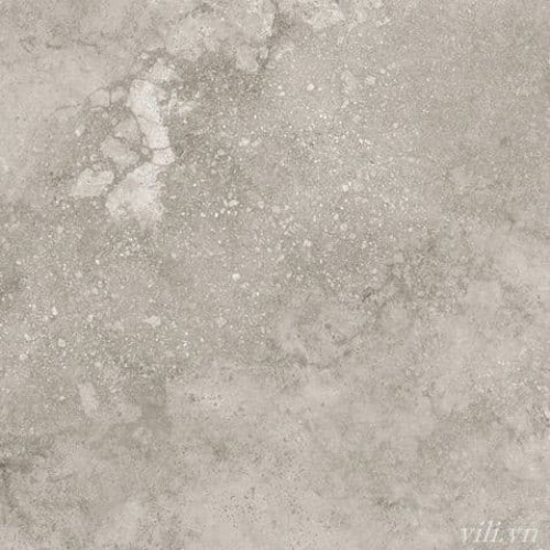 Gạch lát nền 60X60 Blue Dragon 11603 đá mờ