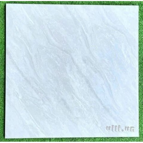 Gạch lát nền 60X60 Blue Dragon 5521 đá bóng