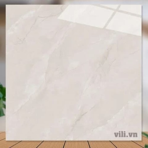 Gạch lát nền 60X60 Catalan 65011 đá bóng