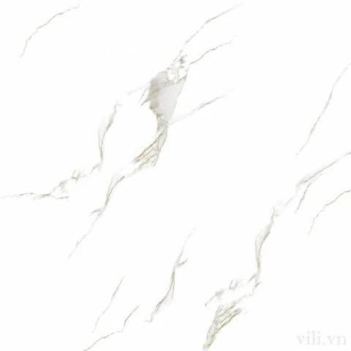 Gạch lát nền 60X60 Prime 8495 đá bóng khắc kim