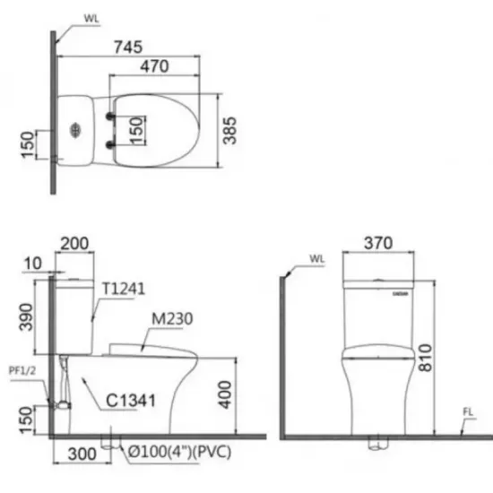 Bàn Cầu Nắp Rửa Cơ CAESAR CD1341/TAF060 Hai Khối