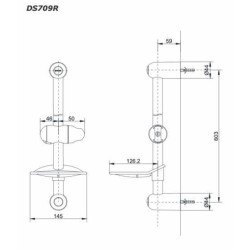 Thanh Trượt Sen Tắm TOTO DS709R